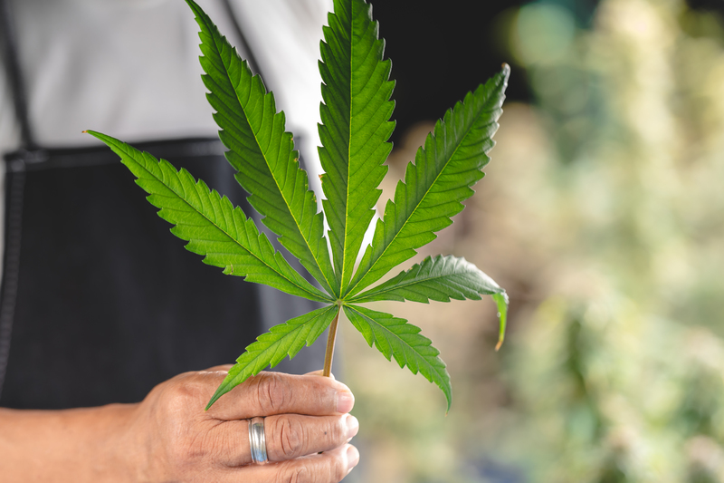 o que e efeito entourage