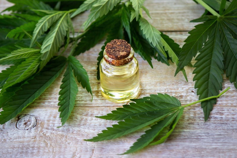 beneficios da cannabis