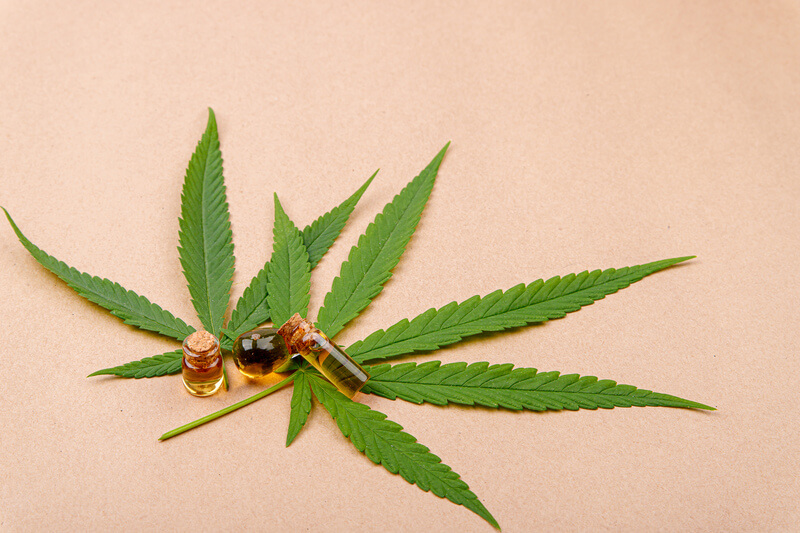 cerveja de maconha componentes