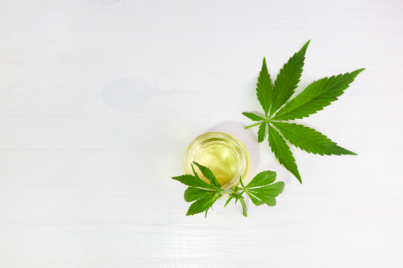 como extrair canabidiol oleo