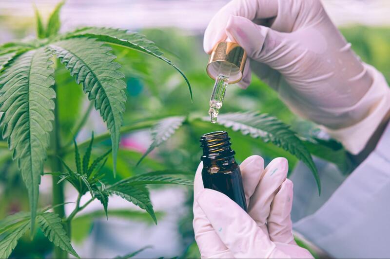 canabidiol para epilepsia pesquisa