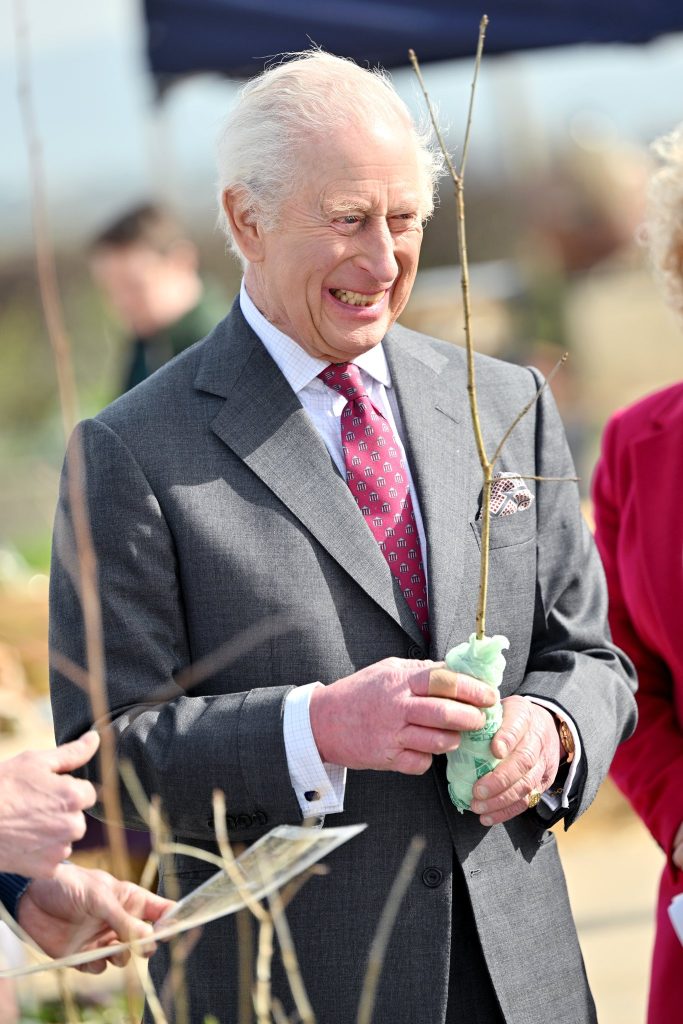 Rei Charles III sorri com uma muda de árvore nas mãos. Rei Charles III estaria utilizando produto com Cannabis para ajudar na luta contra câncer