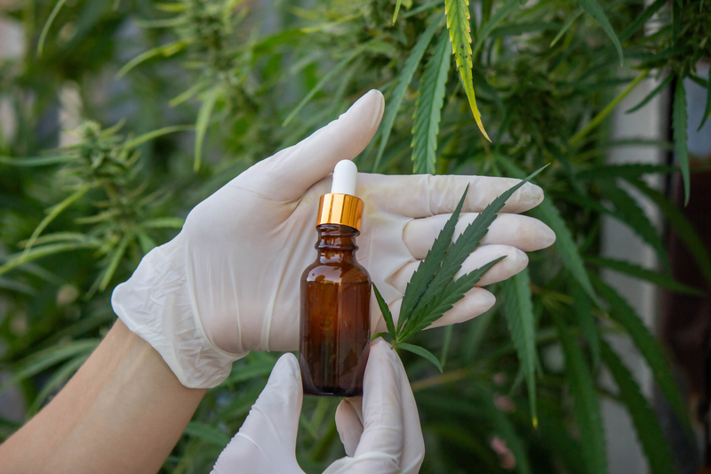 beneficios da microdose de cbd