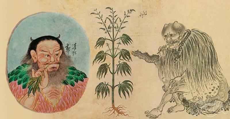 historia da cannabis imperador