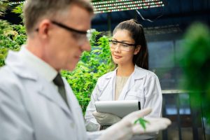 avanços cientificos cannabis medicinal