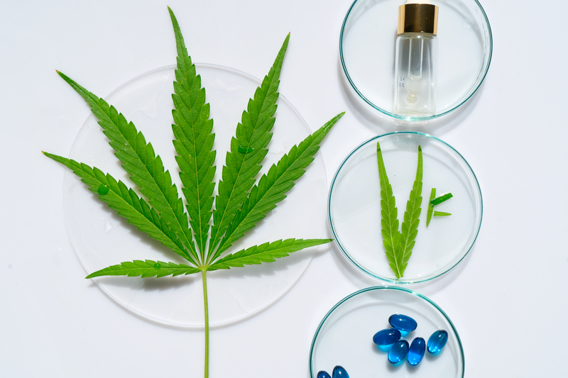 beneficios da endocanabinologia