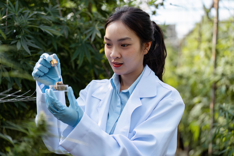 crise convulsiva cbd