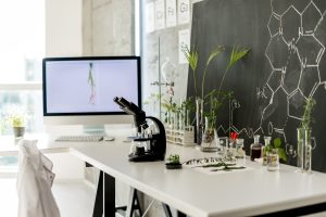 CBD + beta-cariofileno: a combinação que pode mudar o tratamento da dor