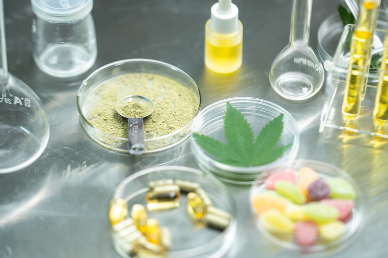 o que e a endocanabinologia