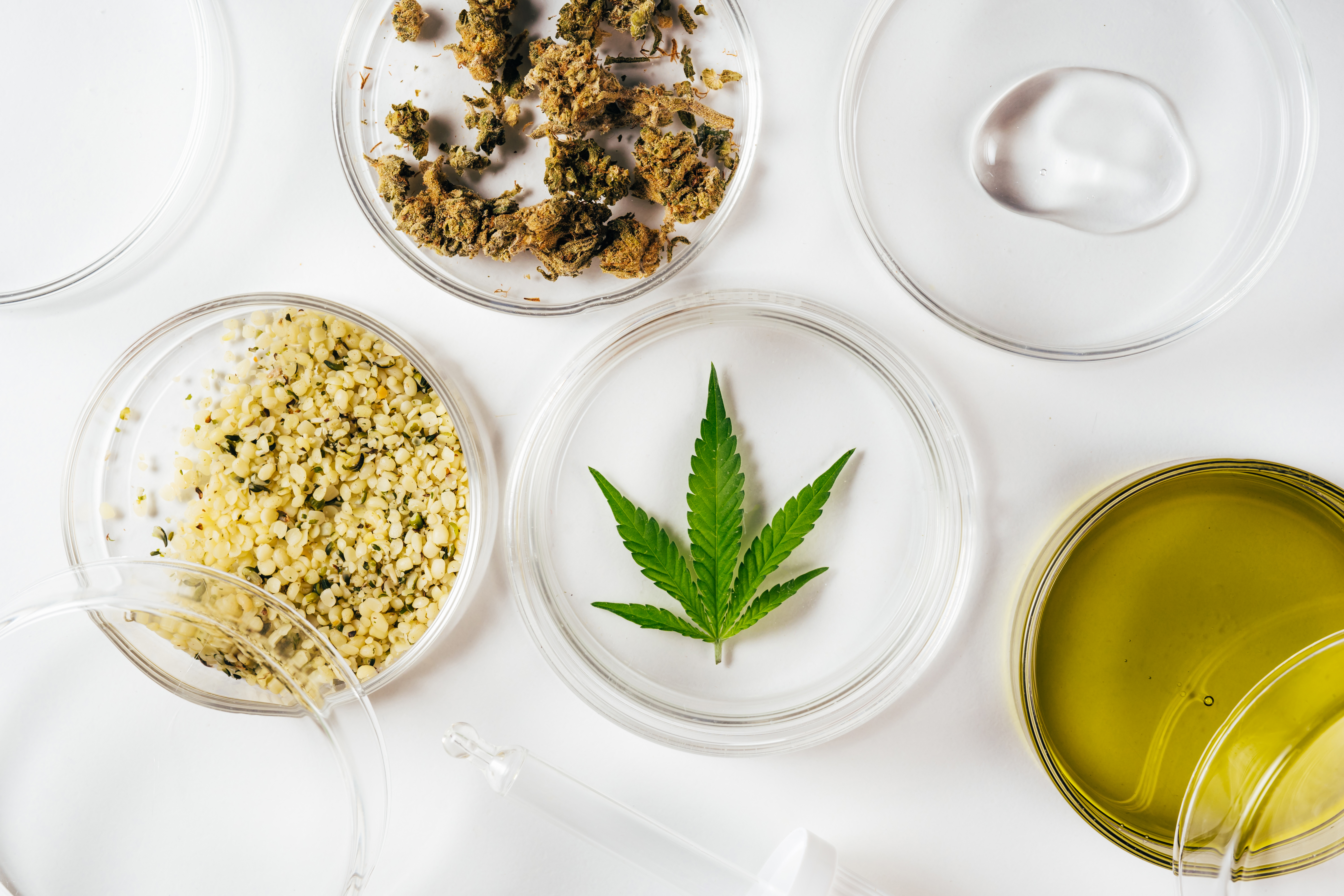 Técnica inovadora para separar THC de extratos de Cannabis