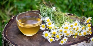 Como a camomila age no sistema endocanabinoide para promover efeitos relaxantes