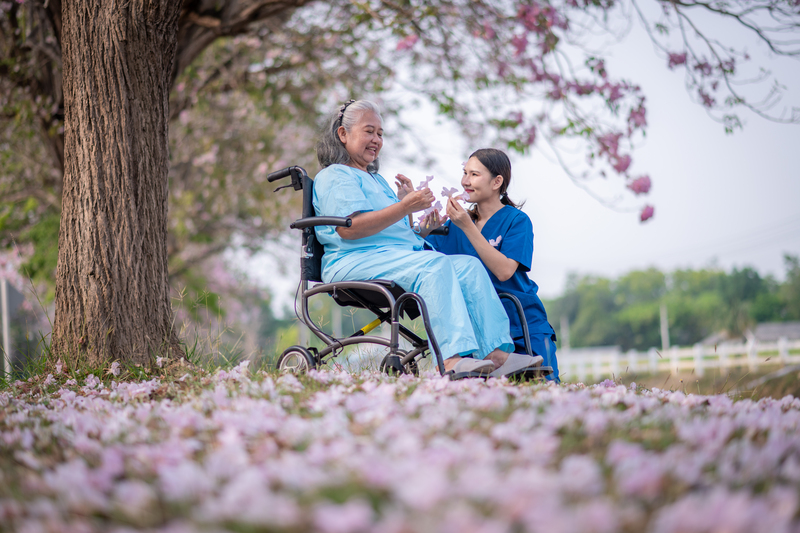 demencia vascular sinais