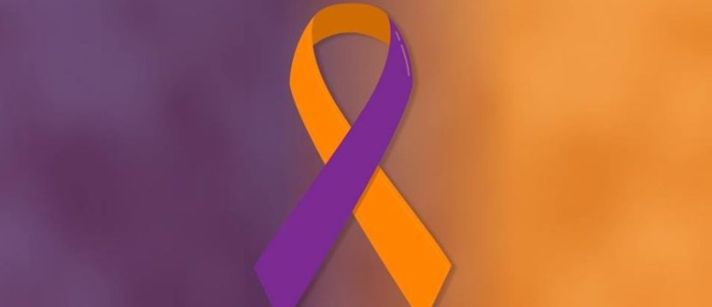 Fevereiro Roxo e laranja