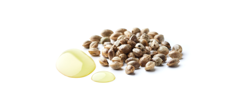 O potencial do óleo de semente de cânhamo na dermatite atópica