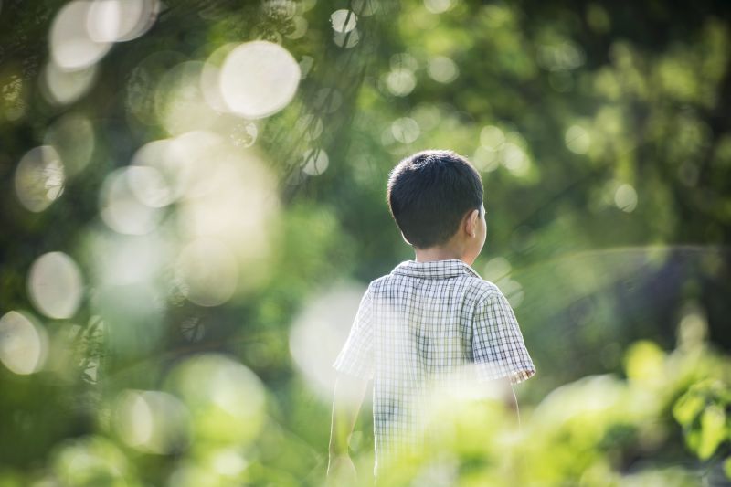 Close up rear of little boy walking in the park.