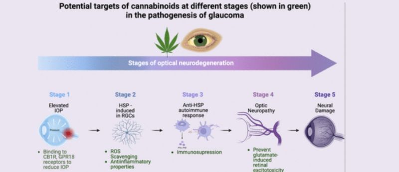 de - 2025-04-01T160912.789