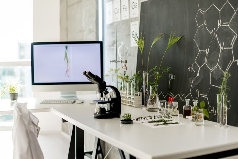 CBD + beta-cariofileno: a combinação que pode mudar o tratamento da dor