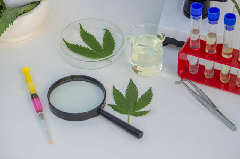 Canabizetol: novo canabinoide identificado com potente ação anti-inflamatória